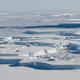 Tabular icebergs seen in the vicinity of iceberg A68. These objects are remnants of the calving event that produced A68.